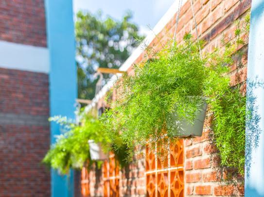 Peach House Bed and Breakfast Hội An Buitenkant foto